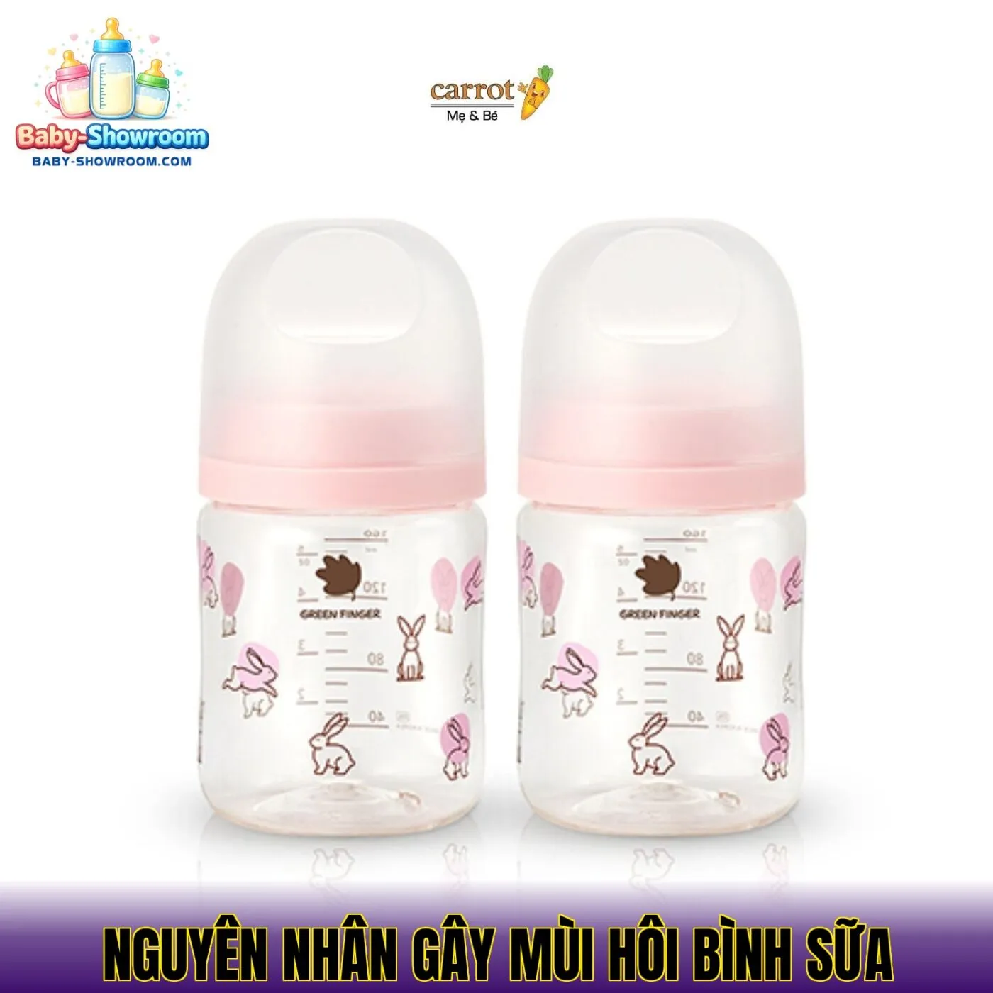 Nguyên nhân gây mùi hôi bình sữa