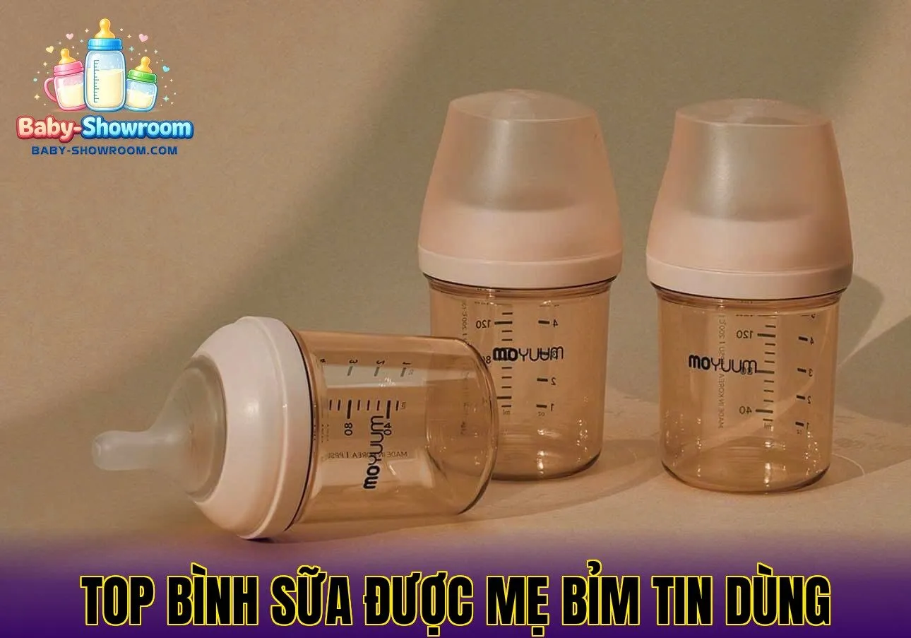 Top Bình Sữa Được Mẹ Bỉm Tin Dùng